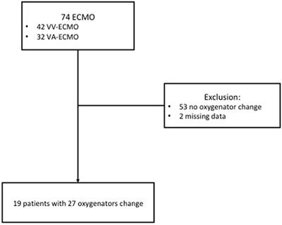 Use of Carboxyhemoglobin as an Early Sign of Oxygenator Dysfunction in Patients Supported by Extracorporeal Membrane Oxygenation